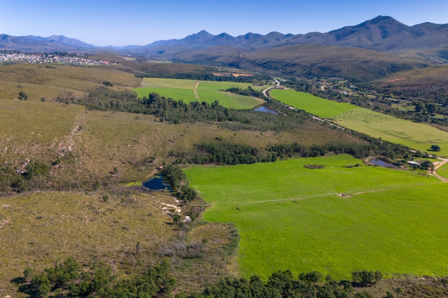 0 Bedroom Property for Sale in Kareedouw Eastern Cape